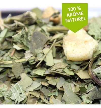 Maté Pomme Banane - Un printemps dans la Pampa Vays Artisan Torréfacteur